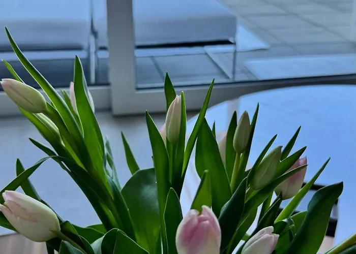 Vue Epoustouflante A Montreux Apartament Veytaux