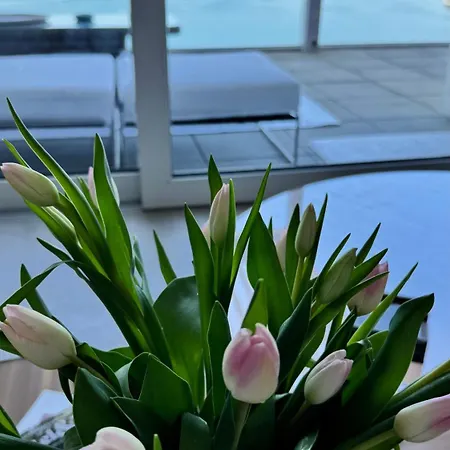 Vue Epoustouflante A Montreux Διαμέρισμα Veytaux