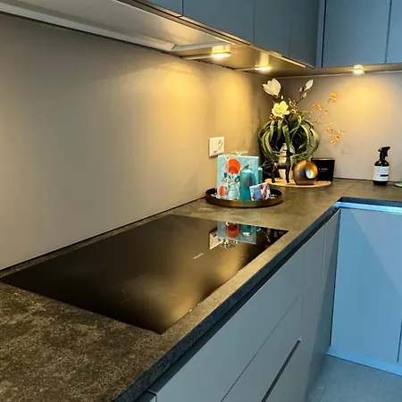 شقة Vue Epoustouflante A Montreux Veytaux